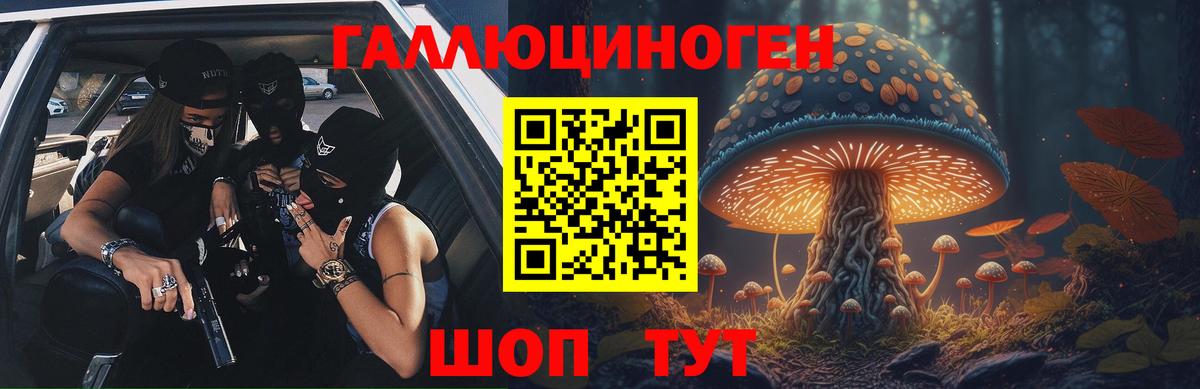 Псилоцибиновые грибы Psilocybe Нижневартовск